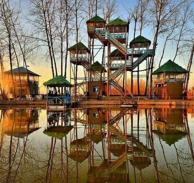 هتل درختی خمام