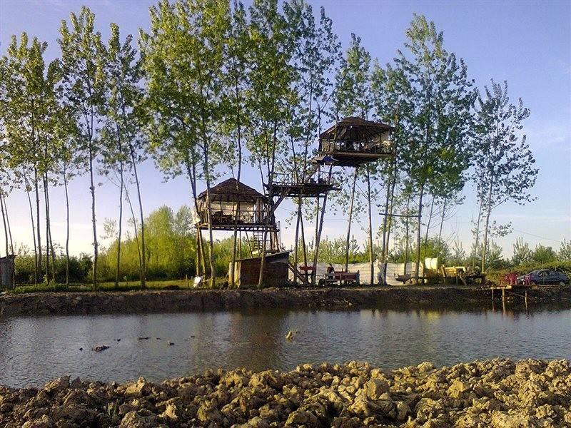 هتل درختی خمام