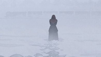 سرنوشت دختری که از قطار پرت شد!