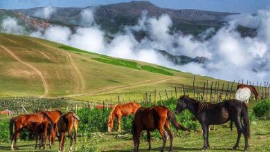 چرا واجب است که شهریور به تالش برویم؟