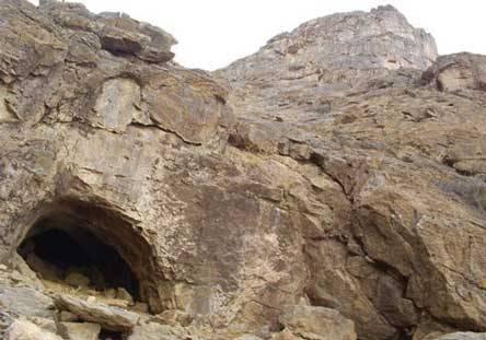 قدم به جهنم سفید