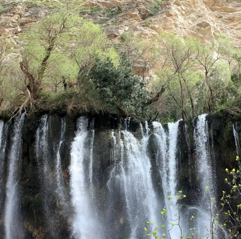 امپراطوران شوی