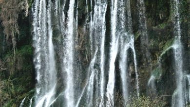 امپراطوران شوی