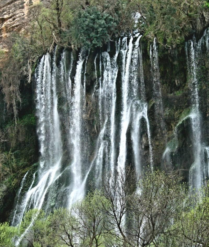 امپراطوران شوی