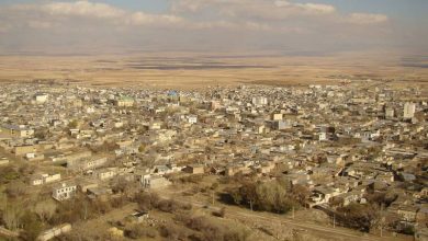 یخبندان خدابنده در تابستان/ مزارع لوبیا از بین رفت!