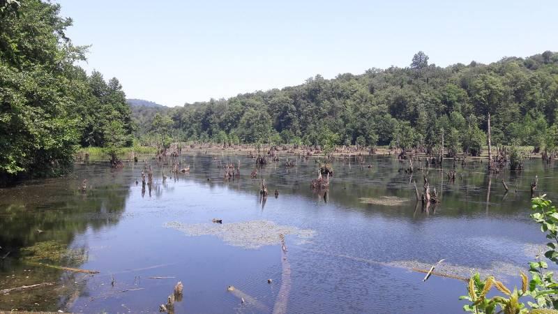 دریاچه ممرز 