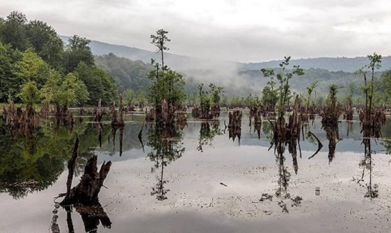 دریاچه ممرز