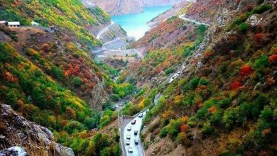 سازمان هواشناسی