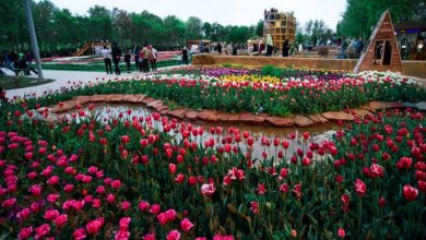 پارک چمران کرج