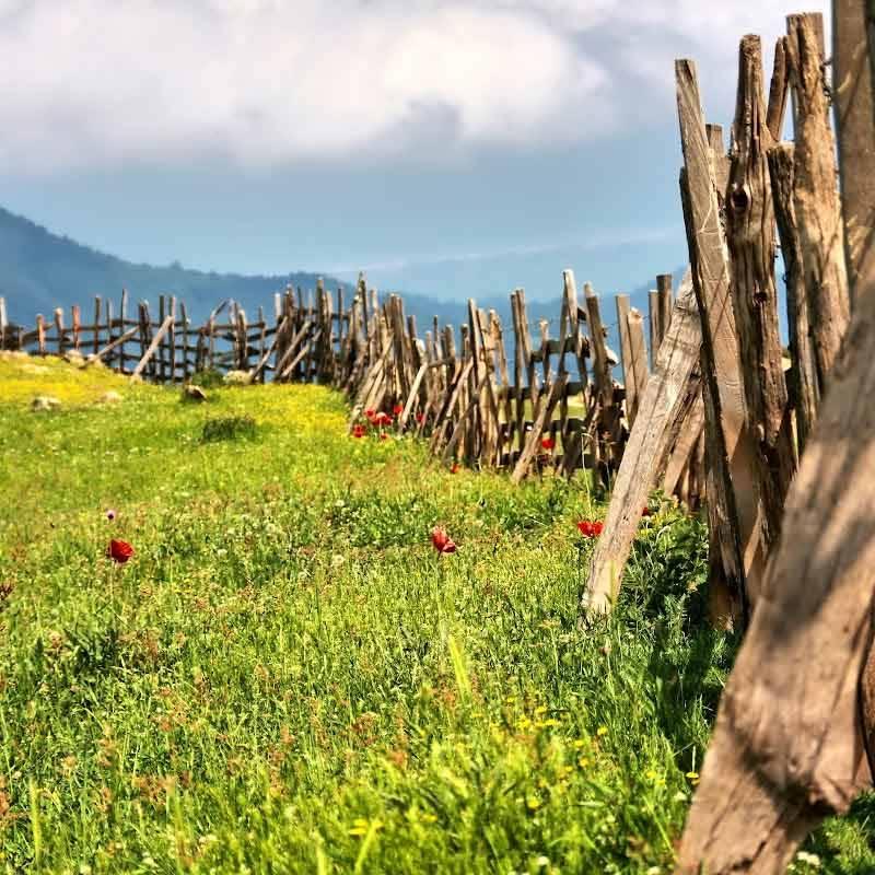 اسالم به خلخال