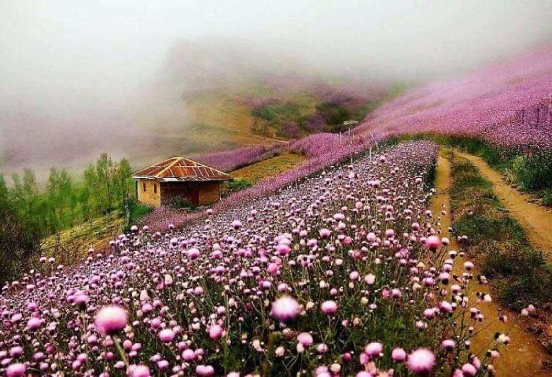 اسالم به خلخال