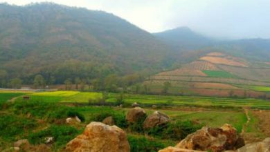 نوده خاندوز