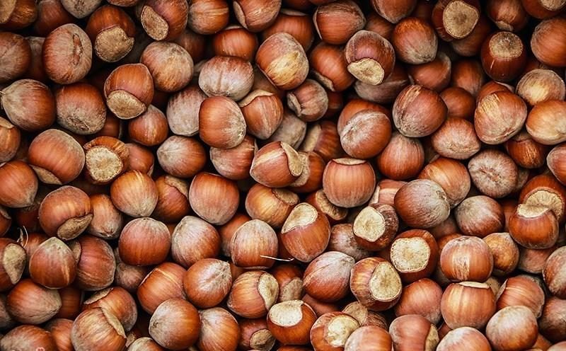 جشنواره ملی فندق