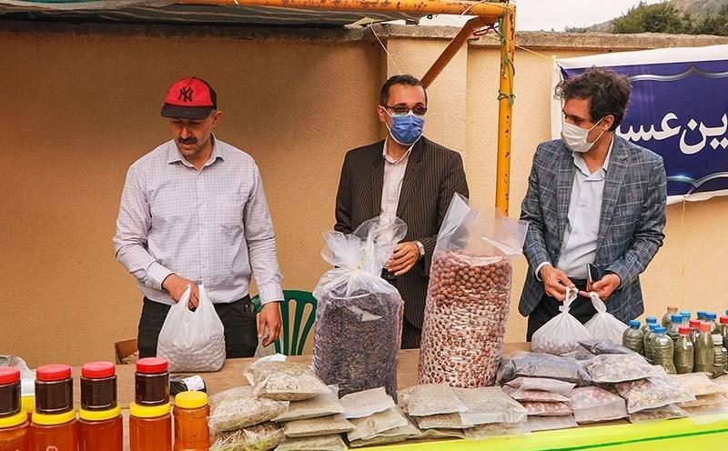 جشنواره ملی فندق