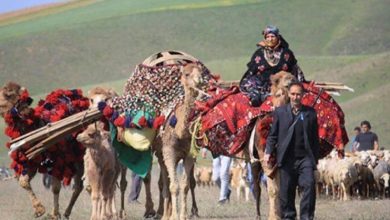 پابه پای ایل «سنگسر» در طولانی‌ترین مسیر کوچ جهان