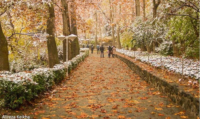 خراب از باد پائيز خمارانگيز تهرانم