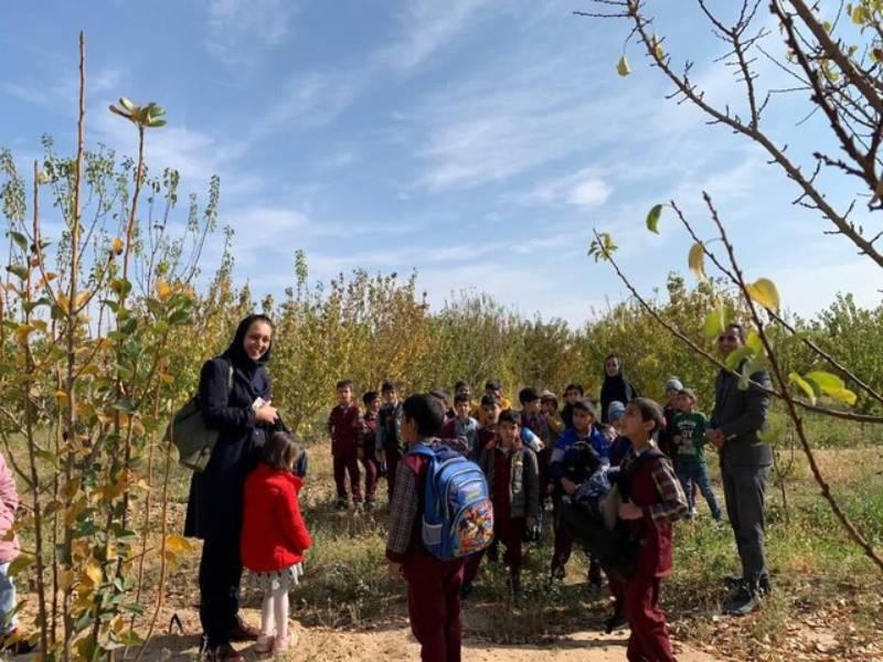 روستاگردی کودکانه