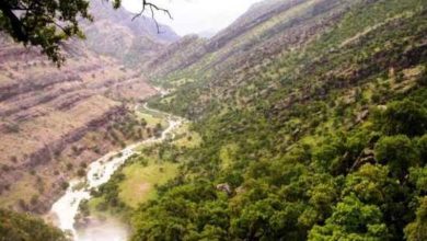 شوکول حاجیوند