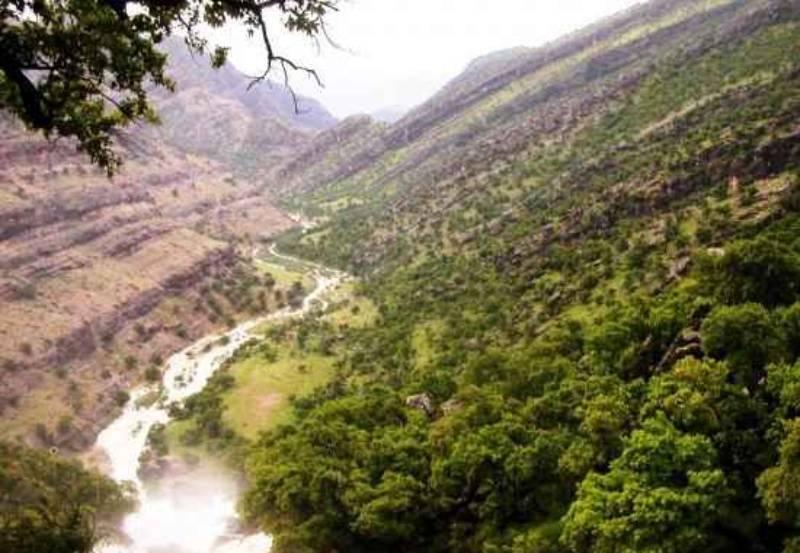 شوکول حاجیوند