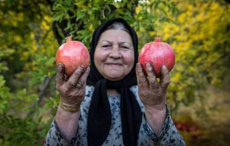 پاییزگردی در 6 گوشه دنج شیراز