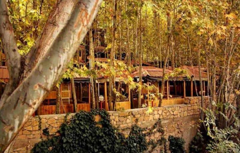 پاییزگردی در 6 گوشه دنج شیراز