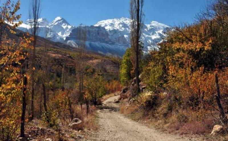 پاییزگردی در 6 گوشه دنج شیراز