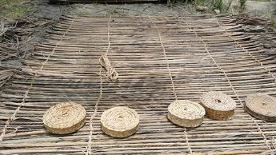 سِوِند بافی