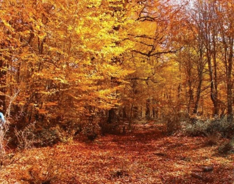 4 مقصد پاییزی شگفت انگیز برای هفته آخر آذر