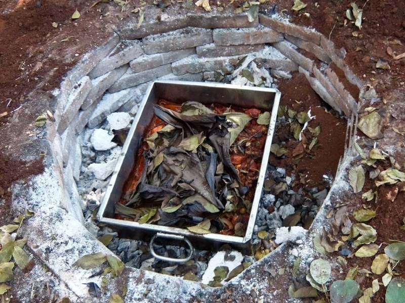 جشنواره غذا