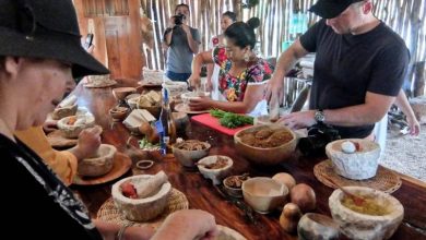 جشنواره غذا