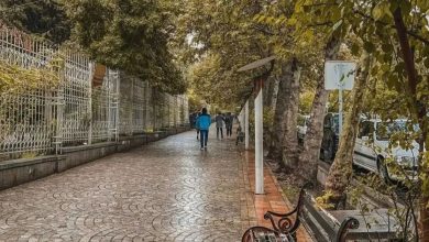 خیابان ارم شیراز