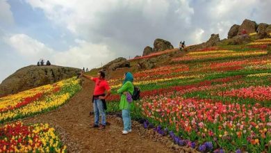 استان البرز