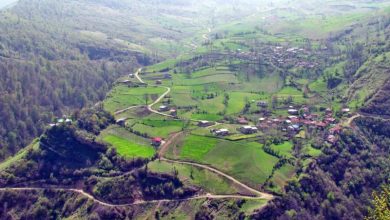 ساحل مروارید نکا