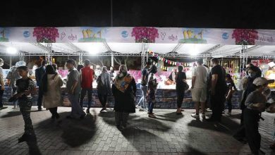 سازمان منطقه آزاد کیش