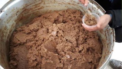 حلوا گردوی تویه رودباری