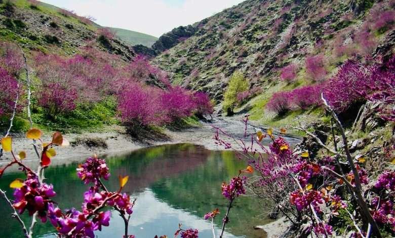 سفردر اردیبهشت