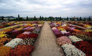 سفردر اردیبهشت