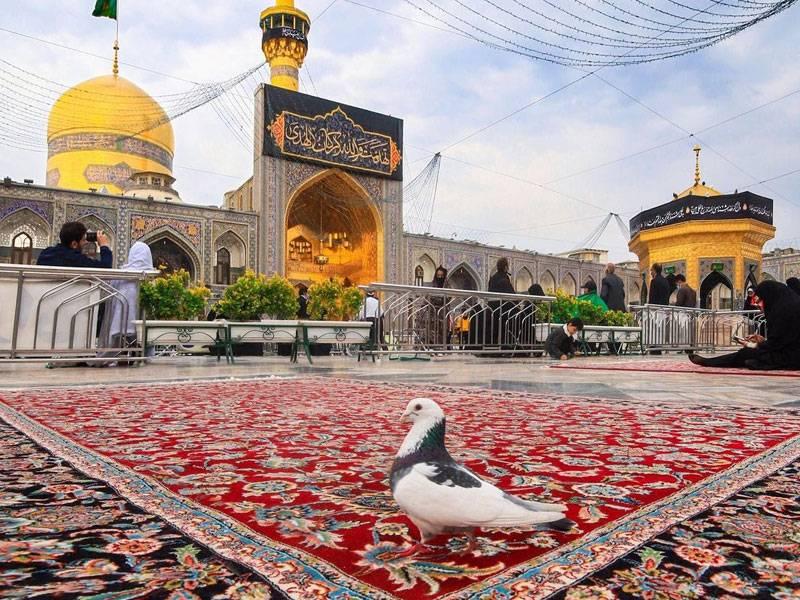 سفر زمینی به مشهد