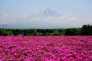 سفردر اردیبهشت