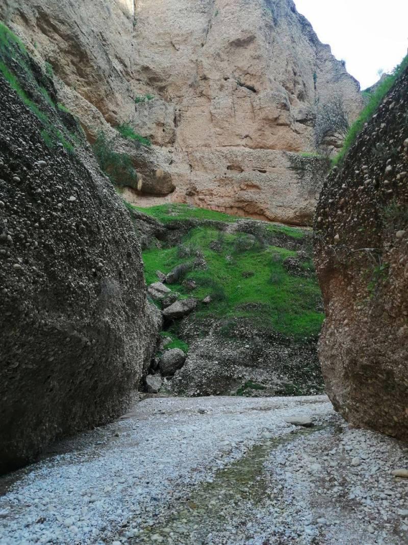 کول خرسان