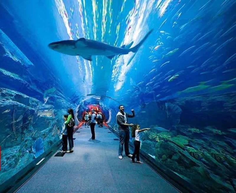 Shiraz Aquarium project