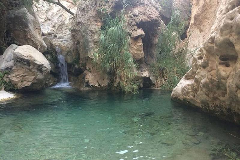 دره آکواریوم