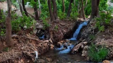 کاشنبه‌ لک