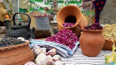 گل گاو زبان