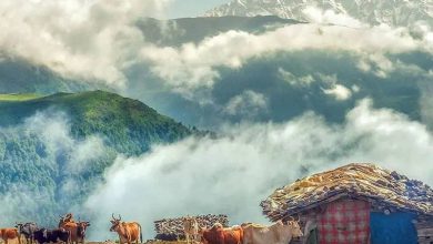 جای خنک شمال