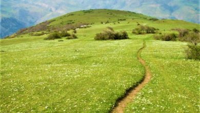 6 جای بکر شمال