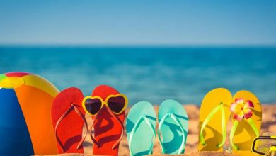 نرخ تورهای مرداد ماه