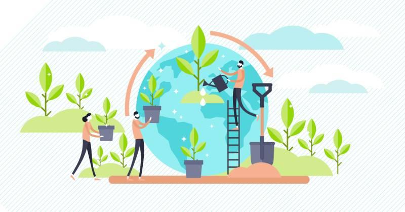 کاشت نهال زردآلو،آلو و بادام