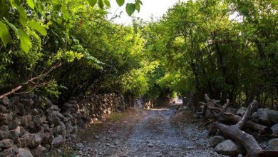 آبشار شیوند