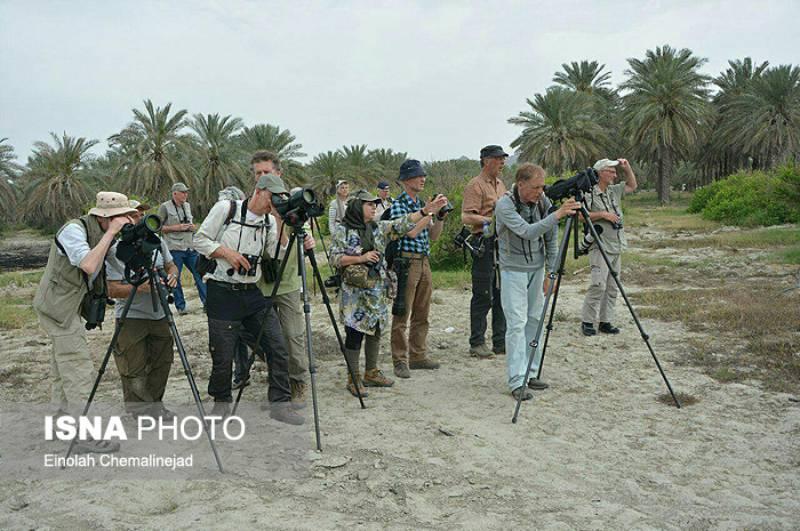 پرنده‌نگری